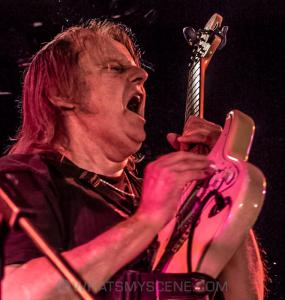 Walter Trout 