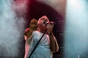 Daryl Braithwaite 