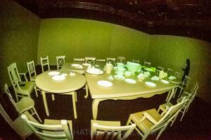 Wonderland ACMI 