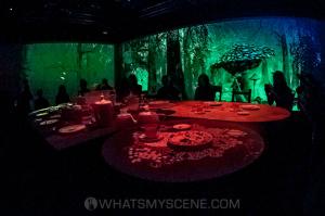 Wonderland ACMI 