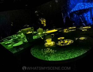 Wonderland ACMI 