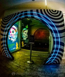 Wonderland ACMI 