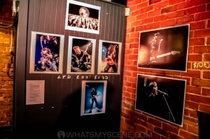 Zo Damage NEST Exhibition, The Bendigo Hotel, 3rd & 4th July 2021 by Mary Boukouvalas (10 of 11)
