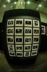 365 Day Live Music Photography Project