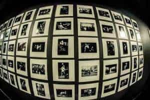 365 Day Live Music Photography Project