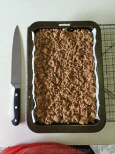 Apple Streusel Slice