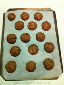 Caramello Bikkies