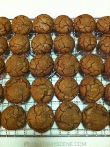 Caramello Bikkies