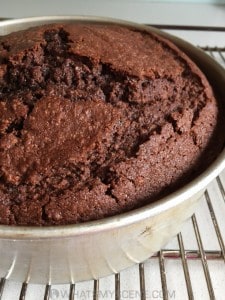 Chocolate Apple Cake with Ganache