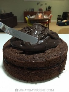 Chocolate Apple Cake with Ganache