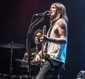 The Dandy Warhols