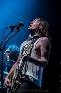 The Dandy Warhols