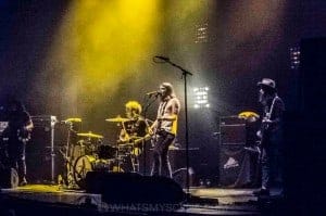 The Dandy Warhols