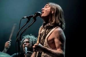 The Dandy Warhols