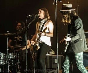 The Dandy Warhols