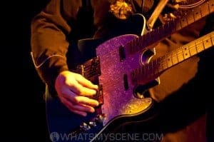 Don Walker & the Suave Fucks