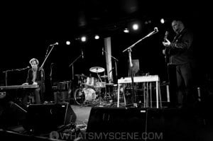 Don Walker & the Suave Fucks