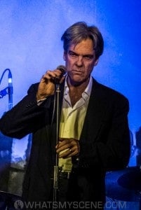Don Walker & the Suave Fucks