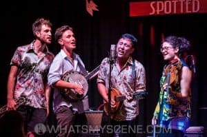 The Willie Wagtails 