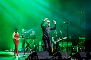 Men Without Hats