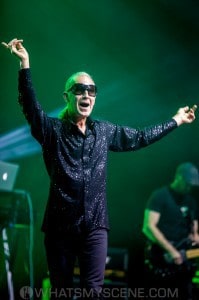 Men Without Hats